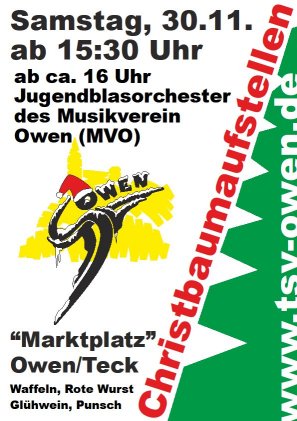 christbaumaufstellen 2013