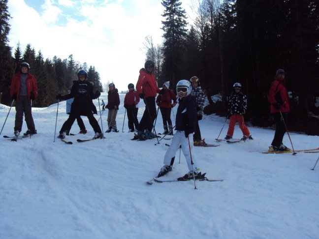 Steibis 2013